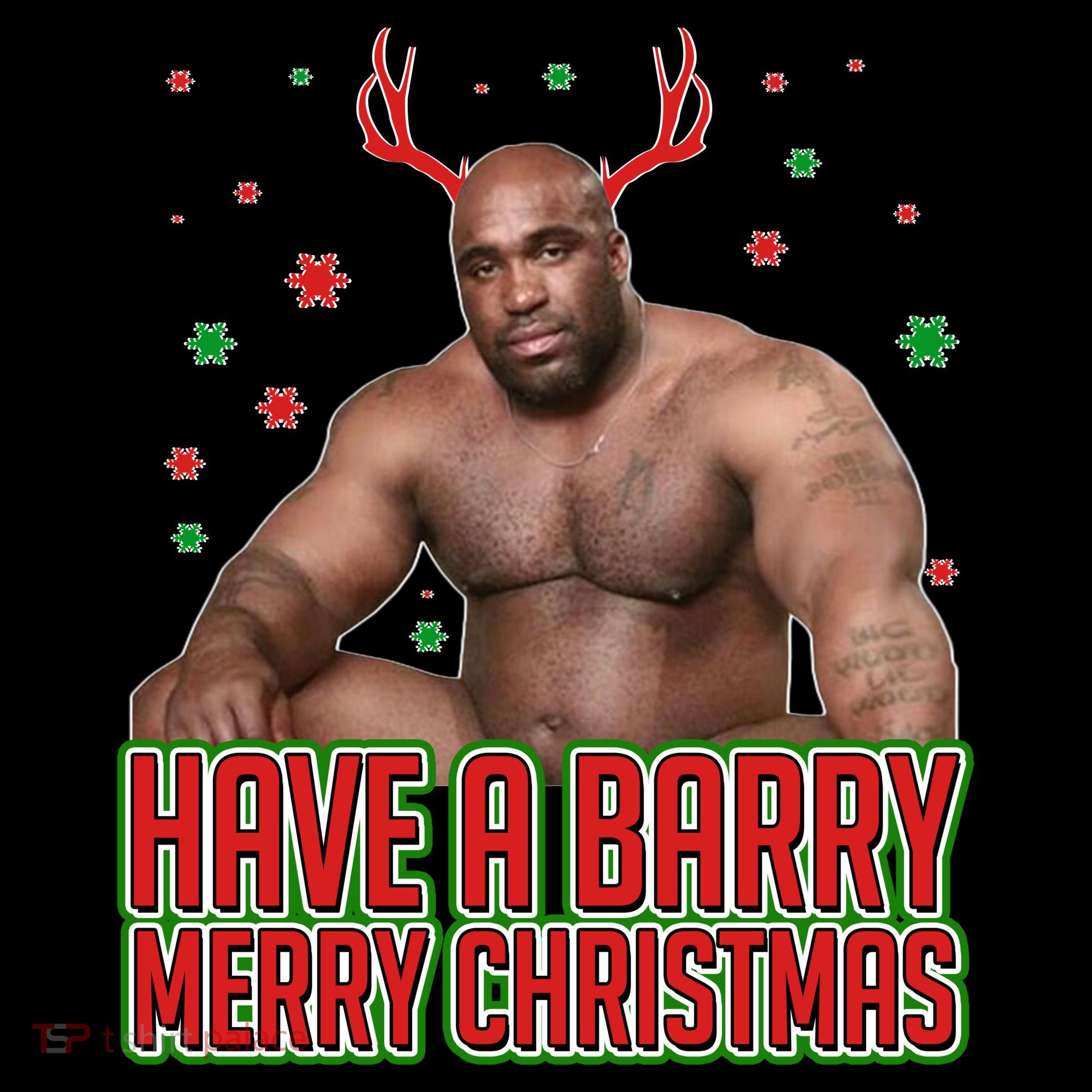 X-Mas Have A Barry Merry Christmas T-Shirt