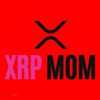Xrp Crypto Mom Matching Couple Santa Hat thumb 1