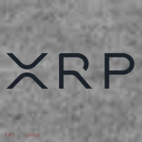 Xrp Coin Ripple Cryptocurrency Wallet Hodler To The Moon Toddler Hoodie thumb 2
