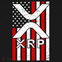 XRP Cryptocurrency USA American Flag Toddler Hoodie thumb 2