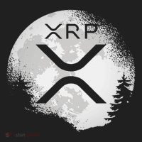 Xrp Hodl To The Moon Crypto Beanie thumb 2