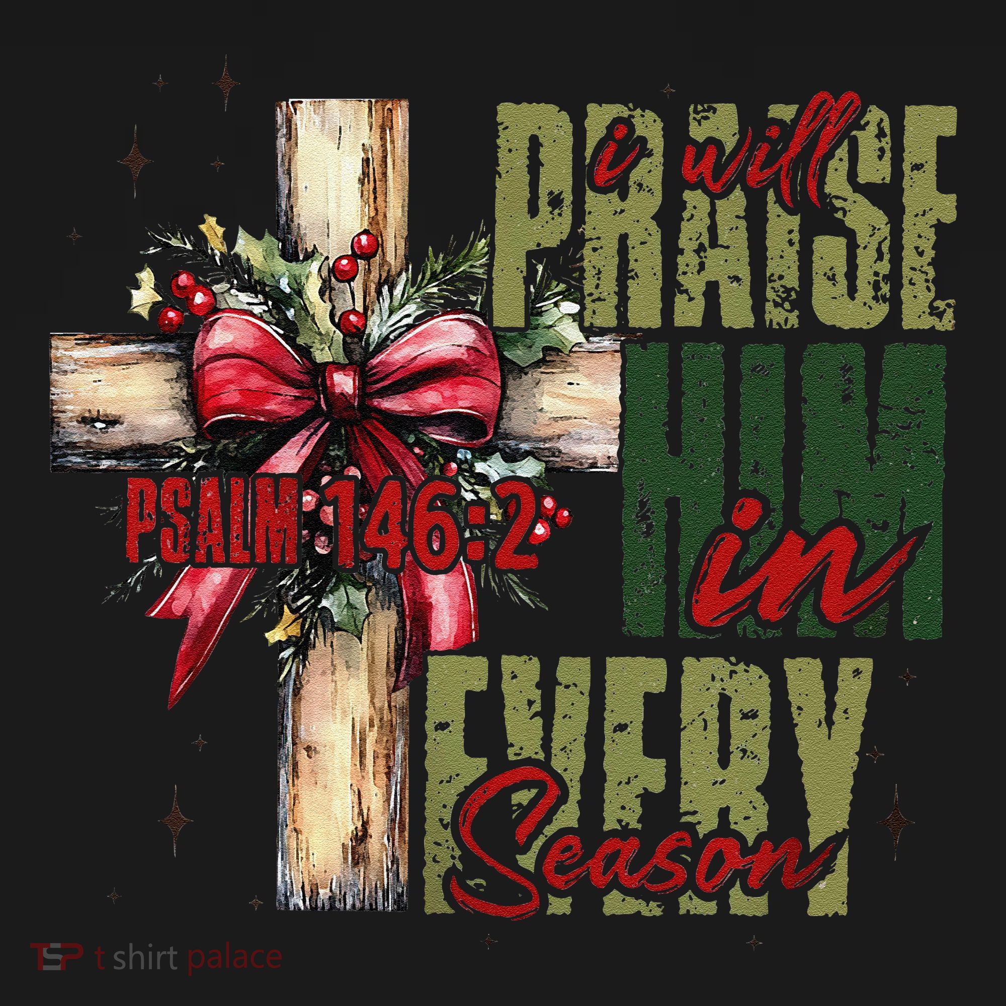 Xmas I Will Praise Him In Every Season Psalm 1462 Women's T-Shirt