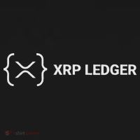 Xrp Ledger Ripple Nano Cold Wallet Cryptocurrency Blockchain Baby Bodysuit thumb 2