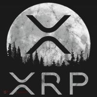 Xrp Moon Ripple Apron thumb 3