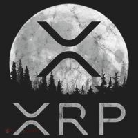 Xrp Moon Ripple Beanie thumb 2