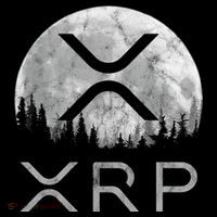 Xrp Moon Ripple Toddler Hoodie thumb 2
