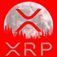 Xrp Moon Ripple Santa Hat thumb 1