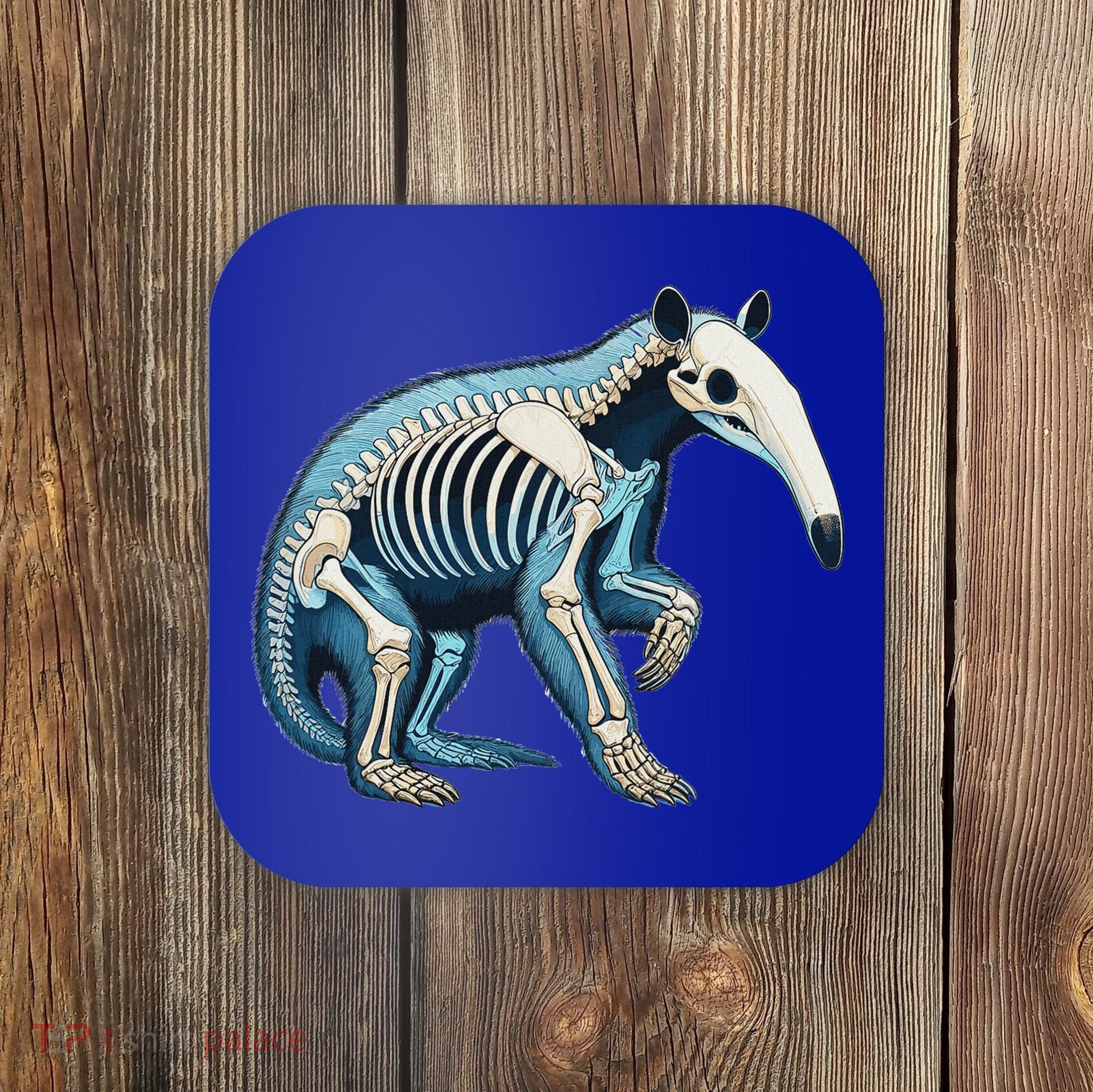 X Ray Anteater Body Anatomy Radiography Skeleton Coaster