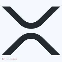 XRP Ripple Logo Kids Hoodie thumb 5