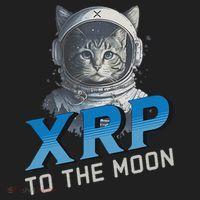 Xrp To The Moon Crypto Merchandise Beanie thumb 2