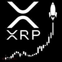 Xrp Coaster thumb 2