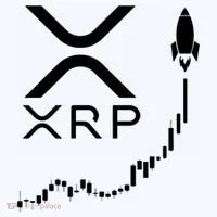 Xrp Doggie Tank thumb 4