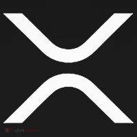 Xrp Polo thumb 3