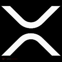 Xrp Women's T-Shirt thumb 6
