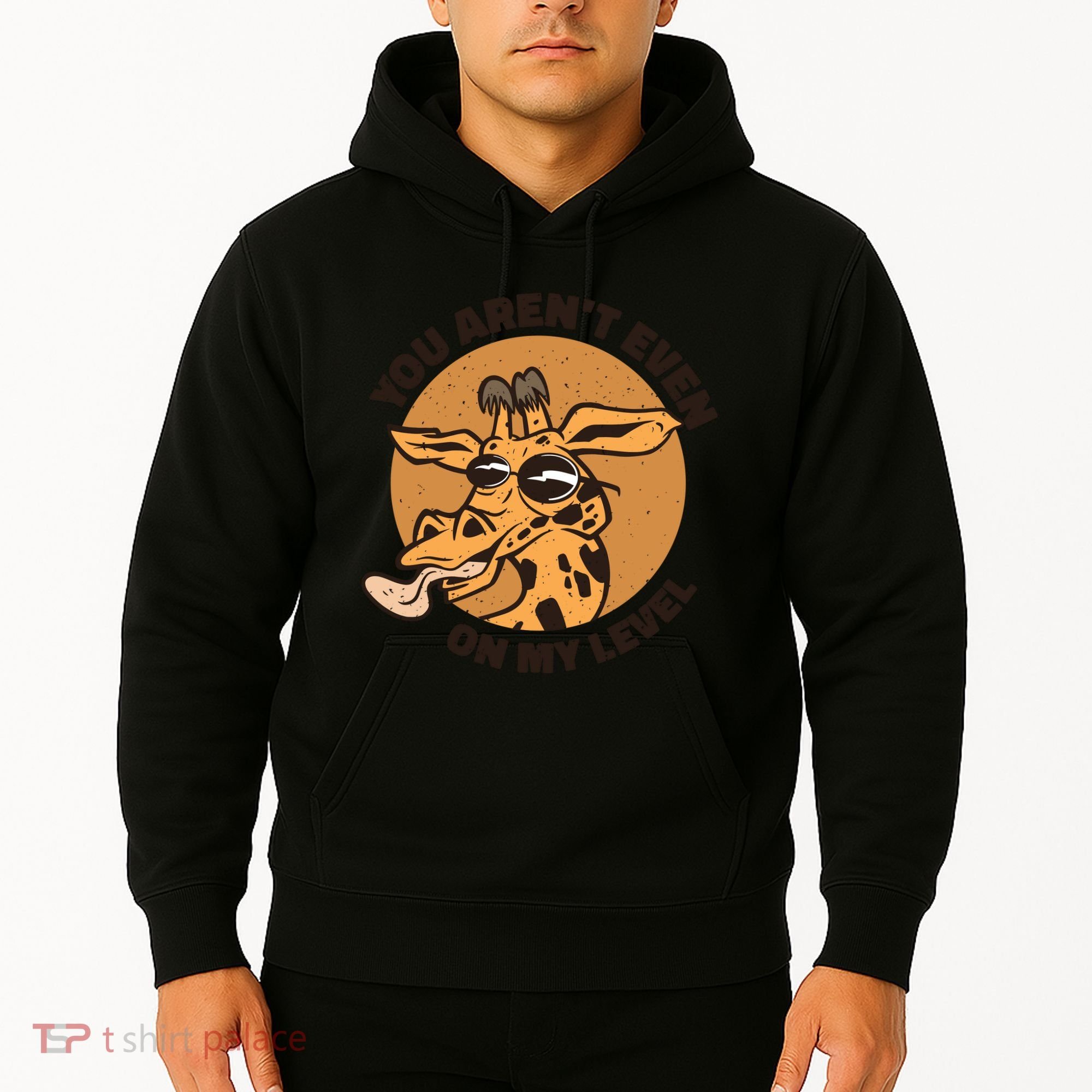 You Aren't Even On My Level Funny Hoodie