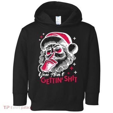 You Aint Gettin Shit Funny Santa Toddler Hoodie