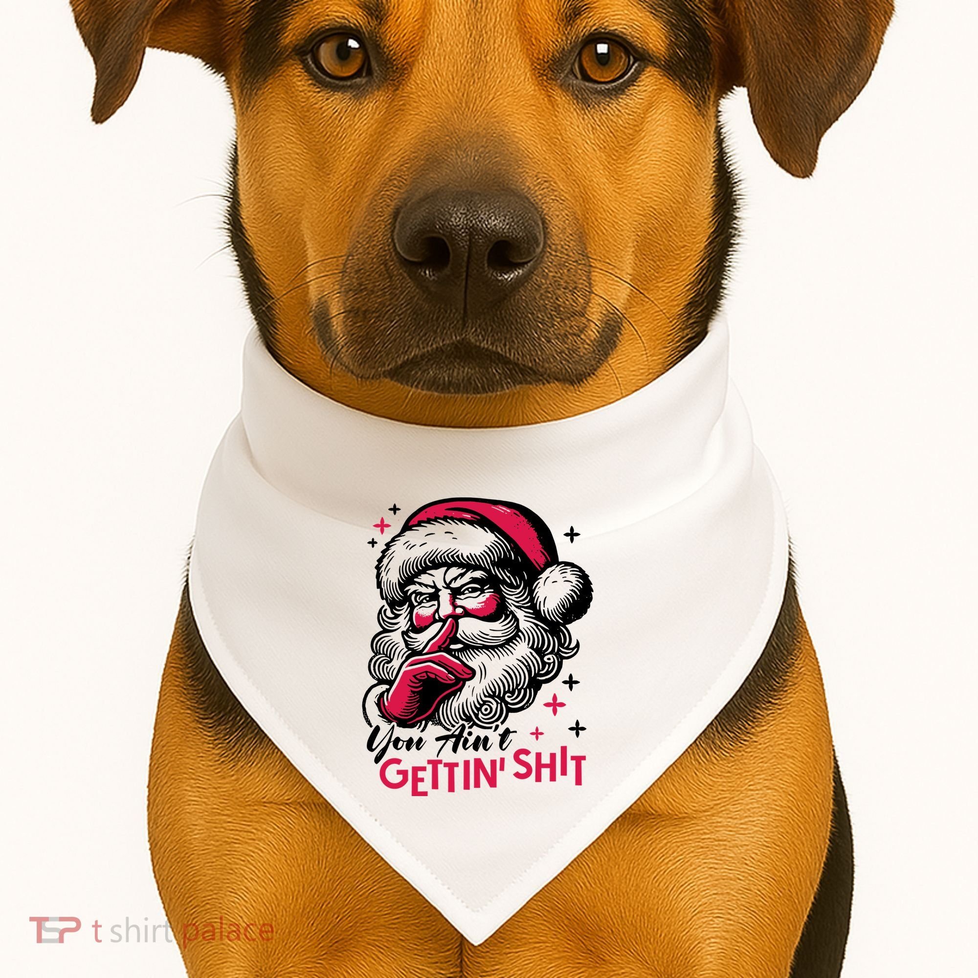You Aint Gettin Shit Funny Santa USA-Made Doggie Bandana