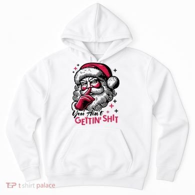 You Aint Gettin Shit Funny Santa Hoodie