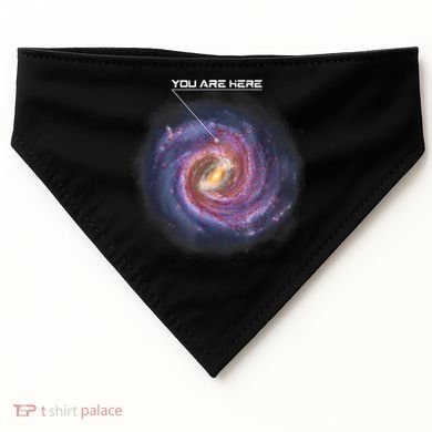 You Are Here Astronomy Milky Way Solar System Galaxy Space USA-Made Doggie Bandana