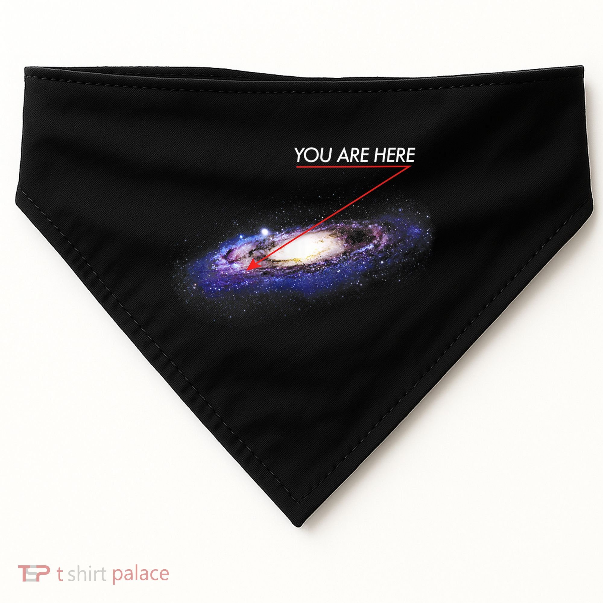 YOU ARE HERE Milky Way Galaxy Funny Outerspace Astronomy USA-Made Doggie Bandana