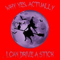 Yes Actually I Can Drive A Stick Halloween 2022 Santa Hat thumb 1
