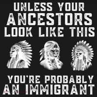 Your Ancestors Look Like This YouRe Probably An Immigrant Women's Hoodie thumb 2