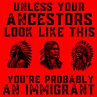 Your Ancestors Look Like This YouRe Probably An Immigrant Santa Hat thumb 1