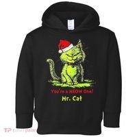 YouRe A Meow One Mr Cat Toddler Hoodie thumb 0