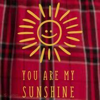 You Are My Sunshine Men's Flannel Plaid Pajama Pants thumb 2