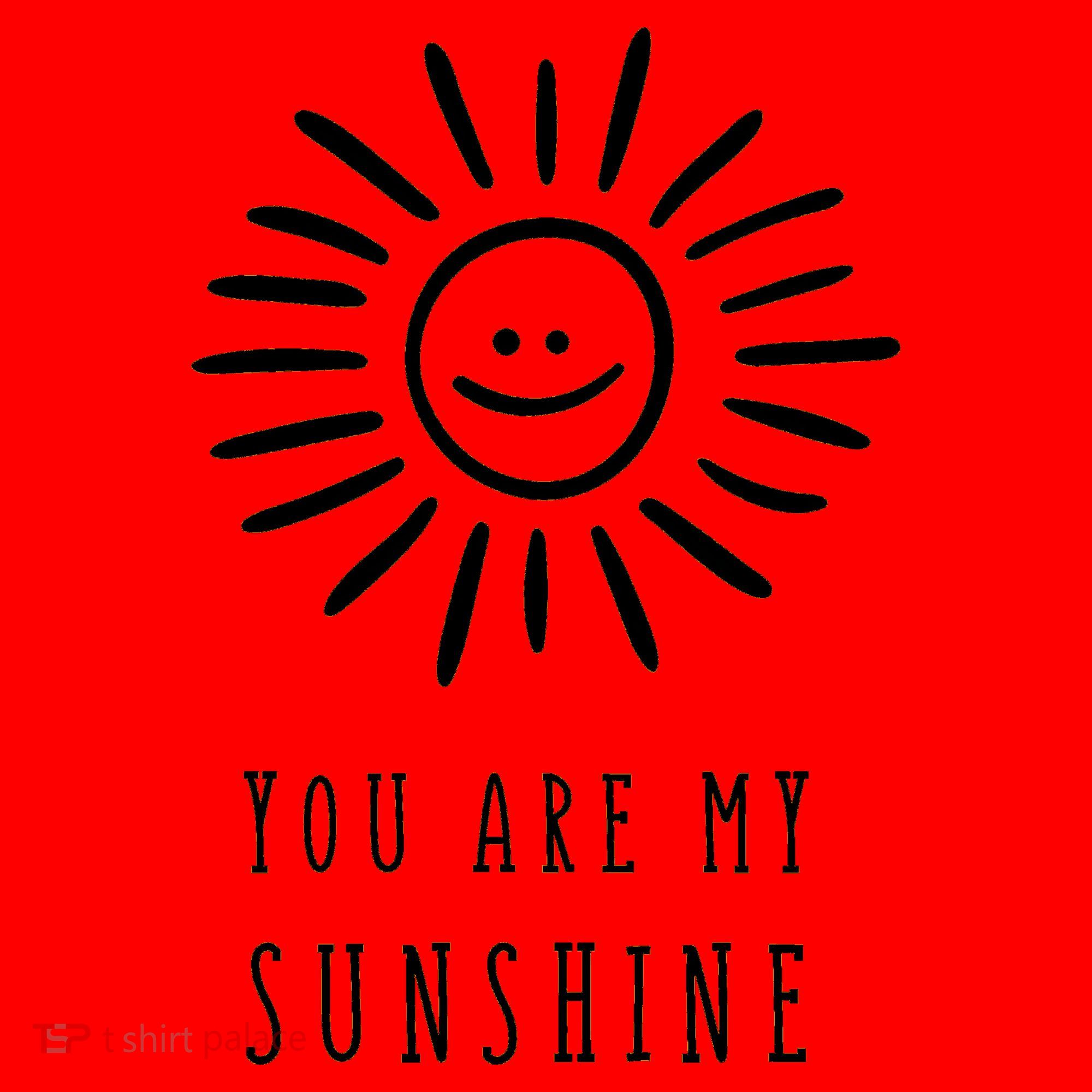 You Are My Sunshine Santa Hat