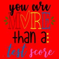 You Are More Than A Test Score Santa Hat thumb 1