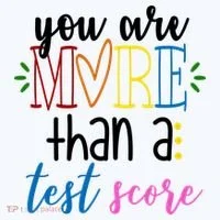You Are More Than A Test Score Long Sleeve Shirt thumb 2