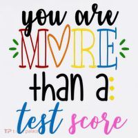 You Are More Than A Test Score Sweatshirt thumb 3