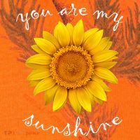 You Are My Sunshine Sunflower Kati Licensed 12" Camo Cuffed Beanie thumb 2
