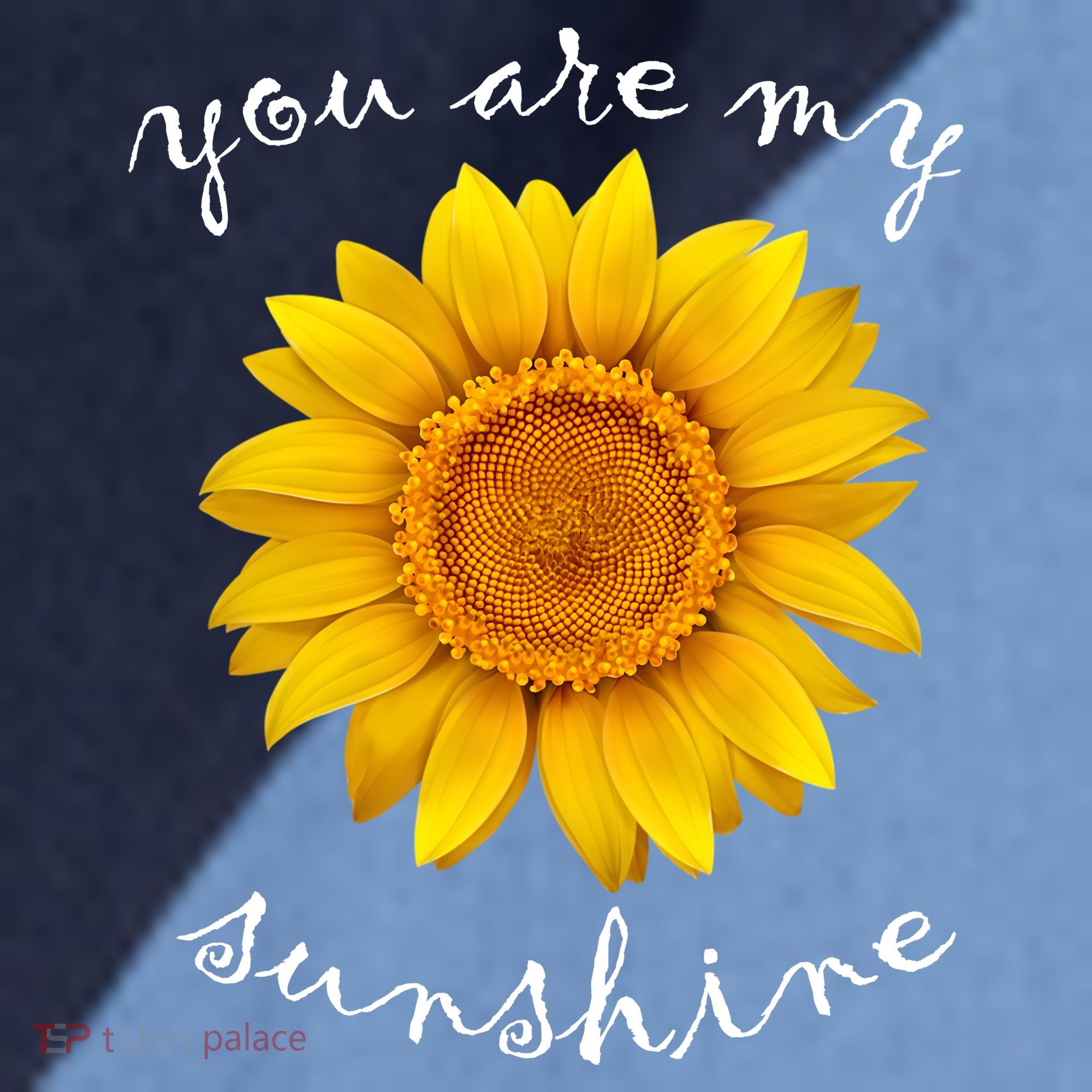 You Are My Sunshine Sunflower Raglan Baseball Sleeve Shirt