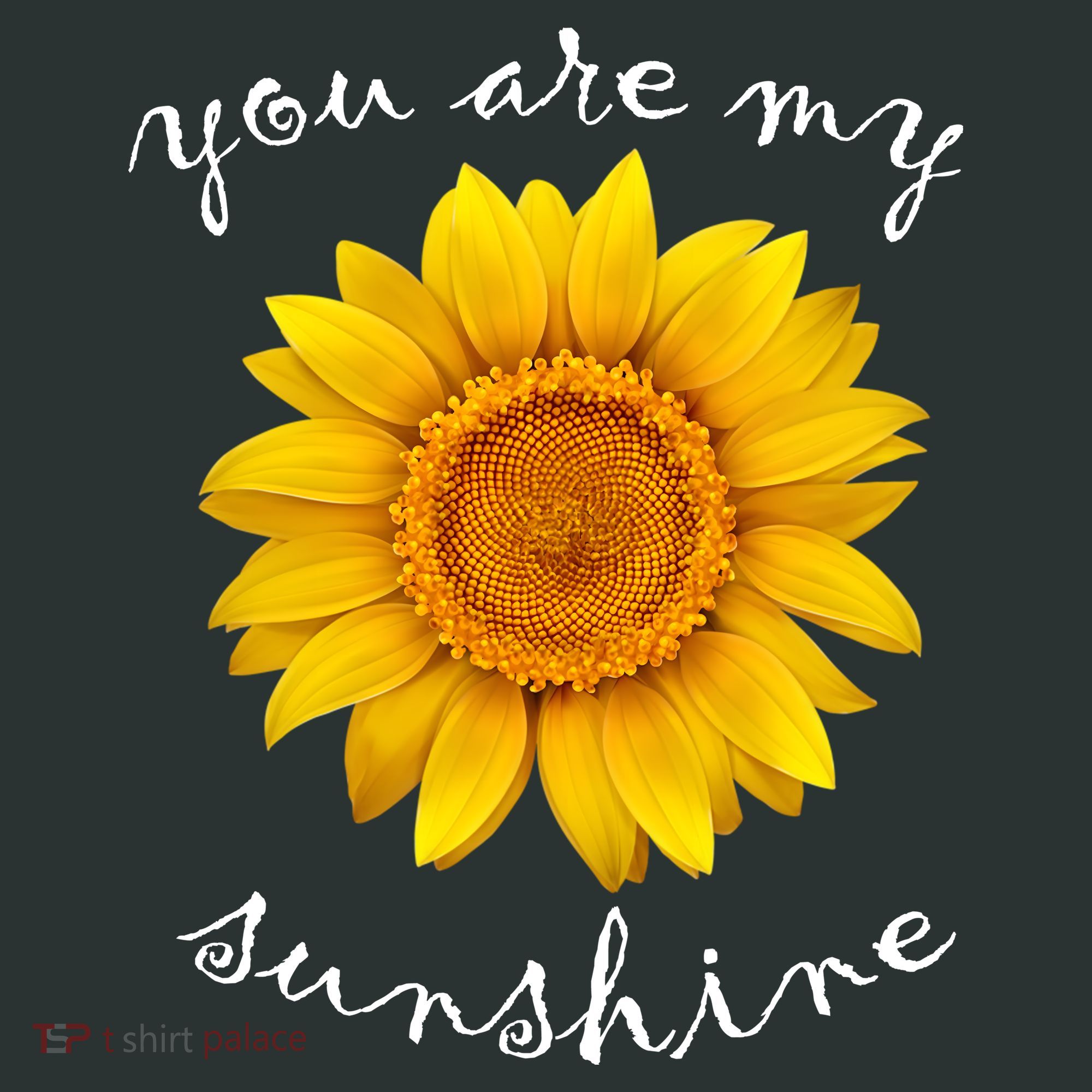You Are My Sunshine Sunflower Infant Baby Jersey Bodysuit