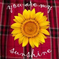 You Are My Sunshine Sunflower Women's Flannel Plaid Pajama Pants thumb 2