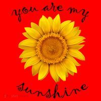 You Are My Sunshine Sunflower Santa Hat thumb 1