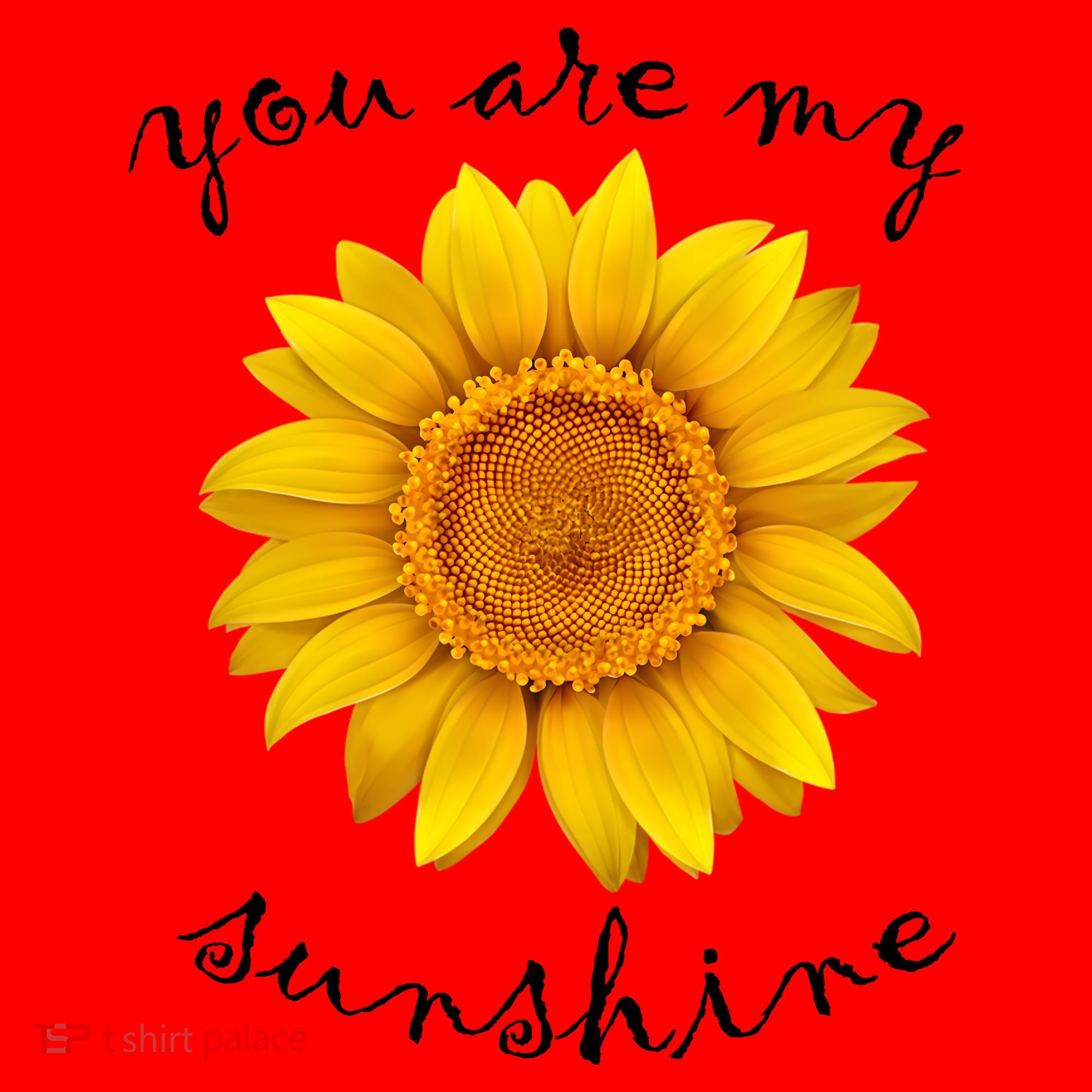 You Are My Sunshine Sunflower Santa Hat