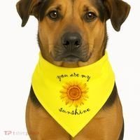 You Are My Sunshine Sunflower USA-Made Doggie Bandana thumb 1