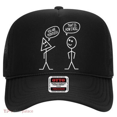 You Are Pointless That Is How I Roll Math Funny Hat