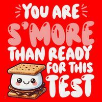 You Are SMore Than Ready For This Test Staar Testing Santa Hat thumb 1