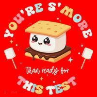 You Are Smore Than A Test Score State Test Day Teacher Santa Hat thumb 1