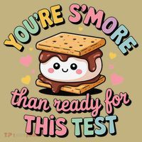 You Are Smore Than A Test Score State Test Day Teacher Hoodie thumb 7