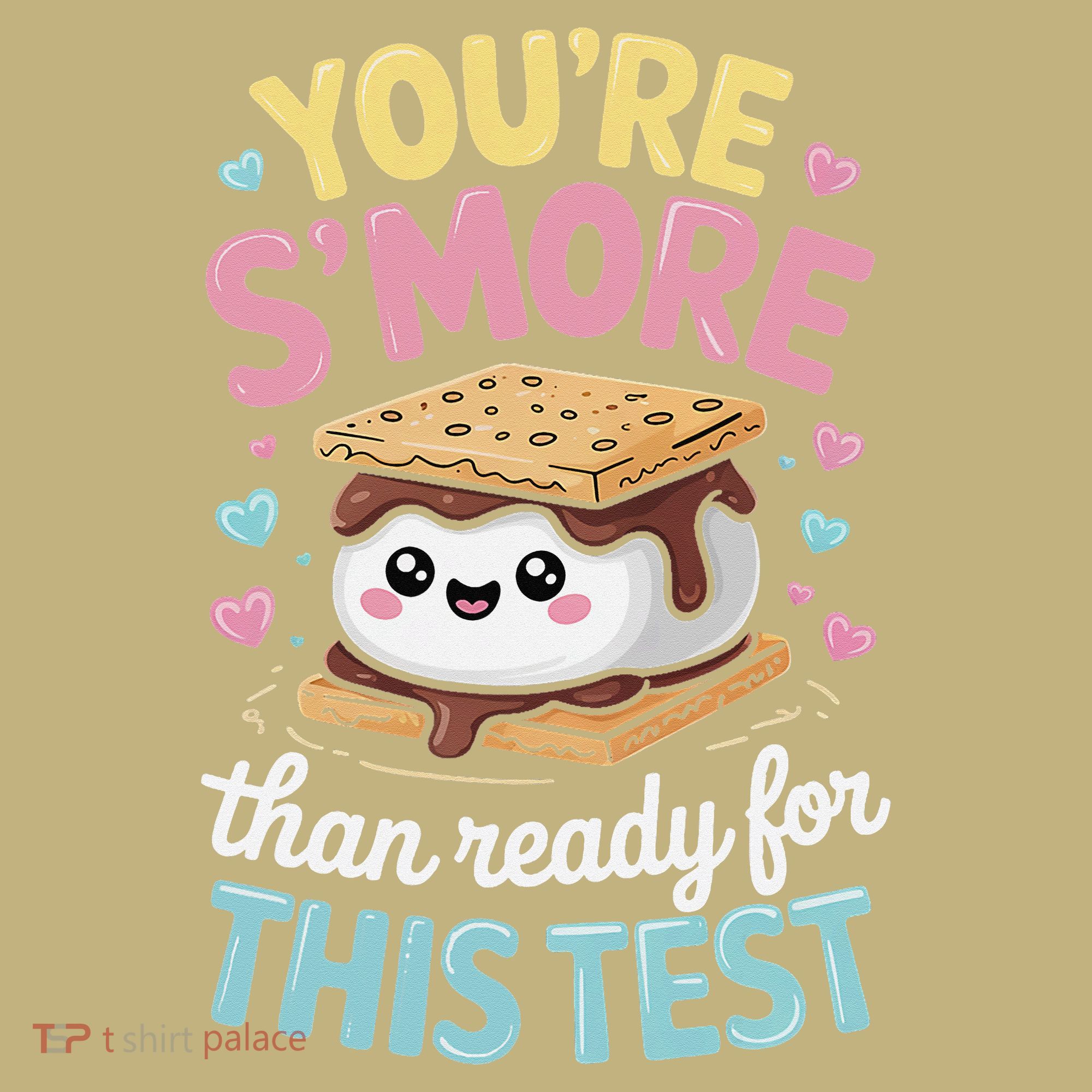 You Are Smore Than A Test Score State Test Day Teacher Hoodie