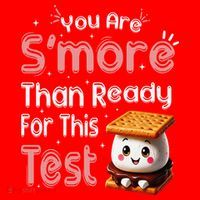 You Are Smore Than Ready For This Test Testing Day Teacher Santa Hat thumb 1