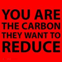 You Are The Carbon They Want To Reduce, Sarcastic Protest White & Black Text Santa Hat thumb 1