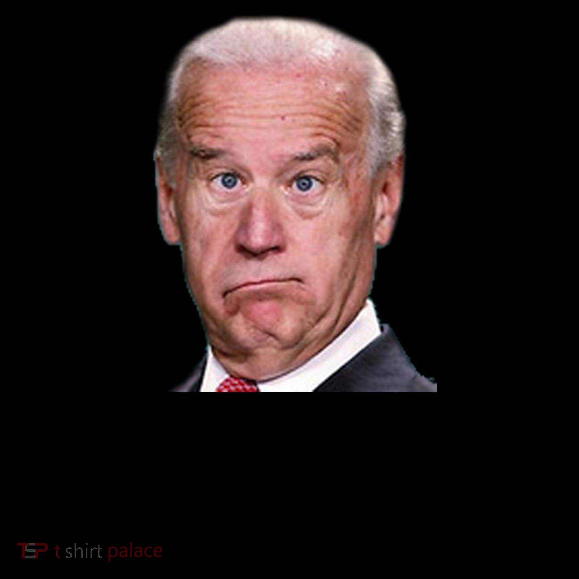 You Big Dummy Joe Biden Coffee Mug