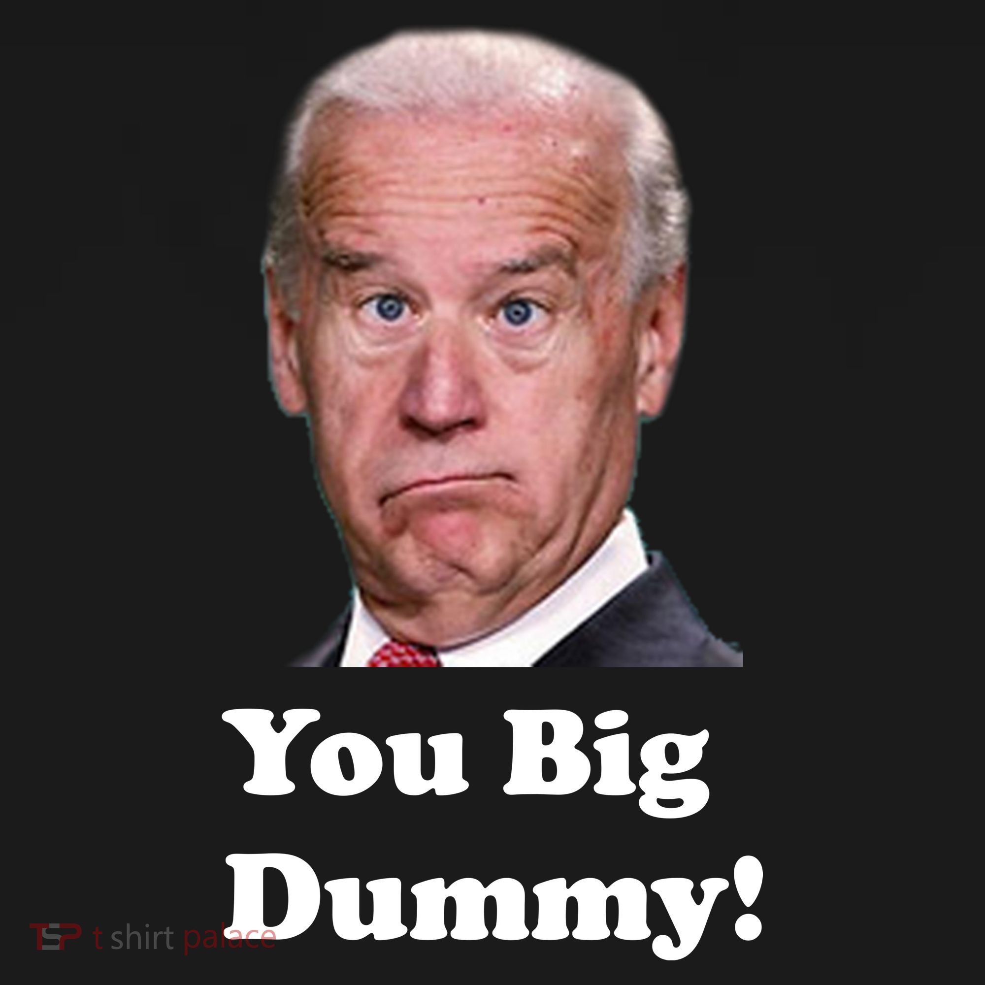 You Big Dummy Joe Biden Ornament