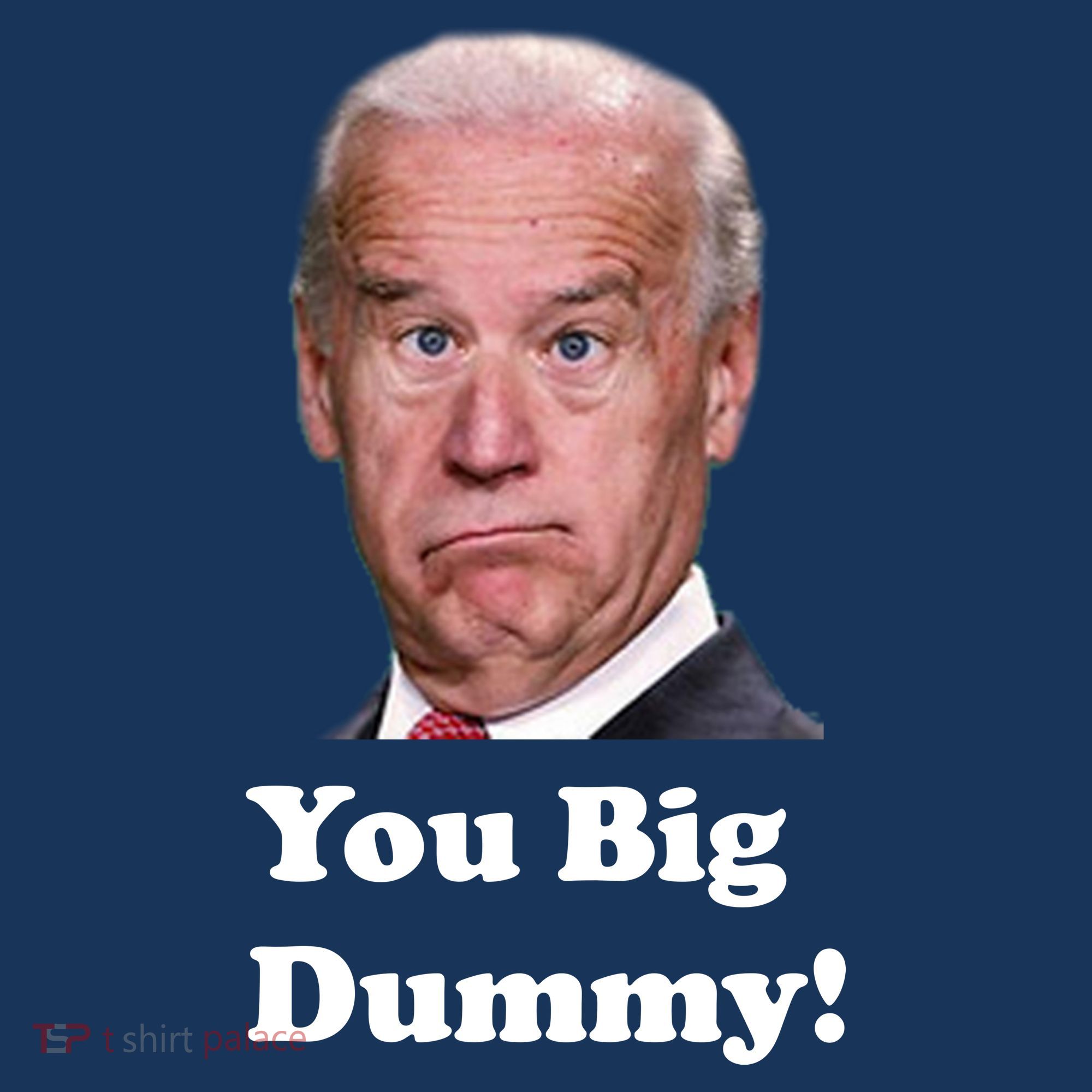 You Big Dummy Joe Biden Beanie